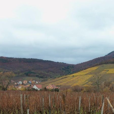 Apartment Route Du Vin Centre Alsace Orschwiller Habitación foto