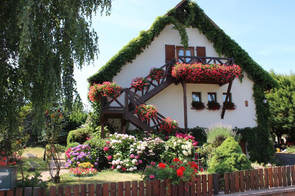 Apartment Route Du Vin Centre Alsace Orschwiller Habitación foto