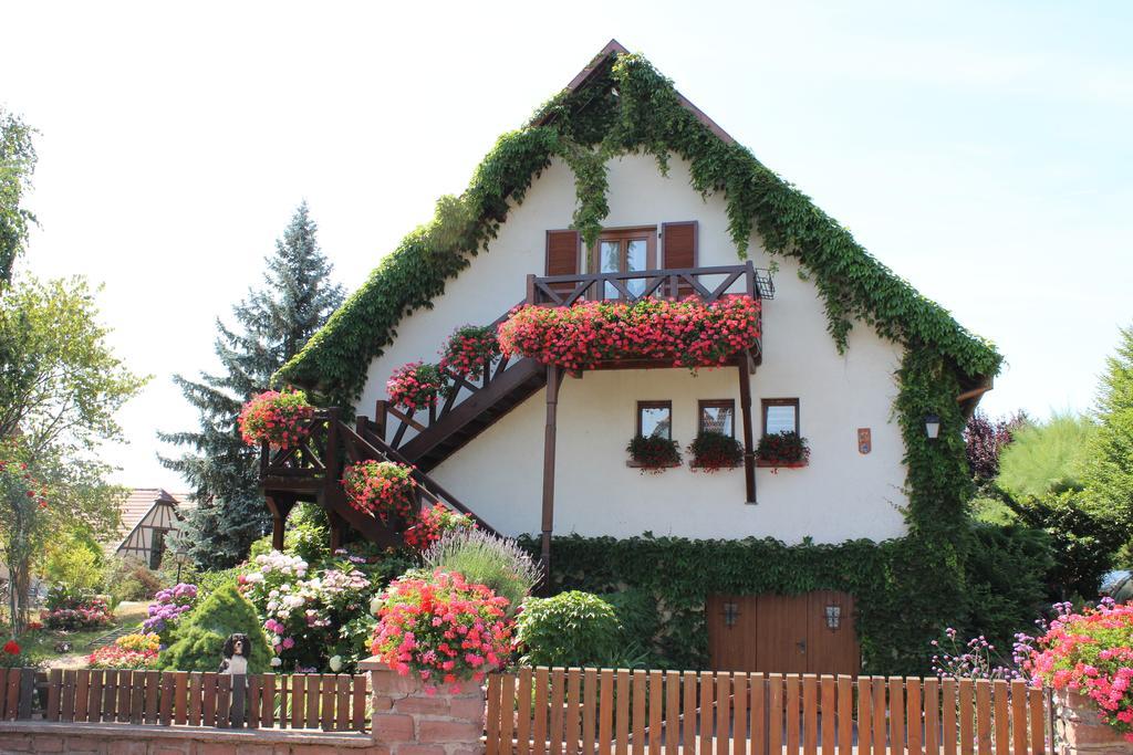 Apartment Route Du Vin Centre Alsace Orschwiller Habitación foto